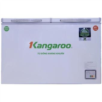Tủ đông kháng khuẩn Kangaroo KG320IC2