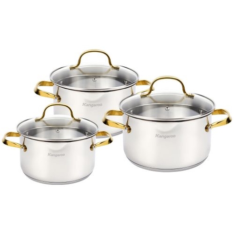 Bộ nồi inox cao cấp 5 lớp Kangaroo KG2IP3S4