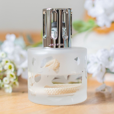 MAISON BERGER - Bộ đèn xông tinh dầu Aroma Energy - 2 món - 380ml