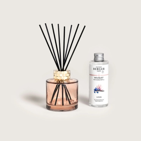 Maison Berger - Bộ lọ tinh dầu khuếch tán Bolero Magnolia - 180ml - 2 món