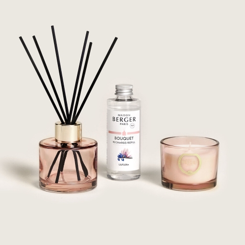 Maison Berger - Bộ lọ tinh dầu khuếch tán và nến thơm Bolero Mini - 3 món