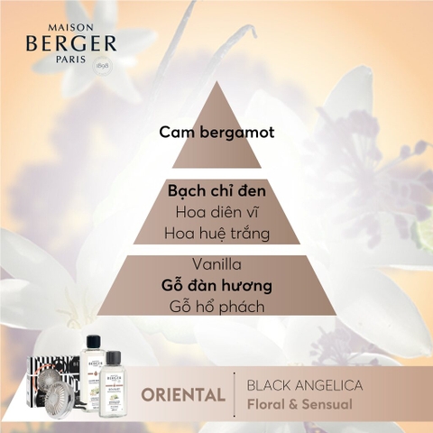 Maison Berger - Bộ kẹp tinh dầu xe hơi Illusion Black Angelica - 2 món