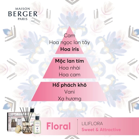 Maison Berger - Bộ lọ tinh dầu khuếch tán và nến thơm Bolero Mini - 3 món