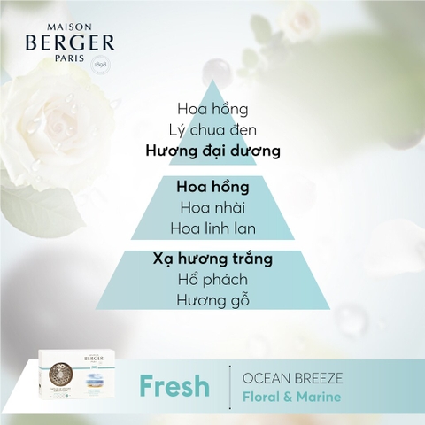 Maison Berger - Bộ kẹp tinh dầu xe hơi Ocean Breeze - 2 món