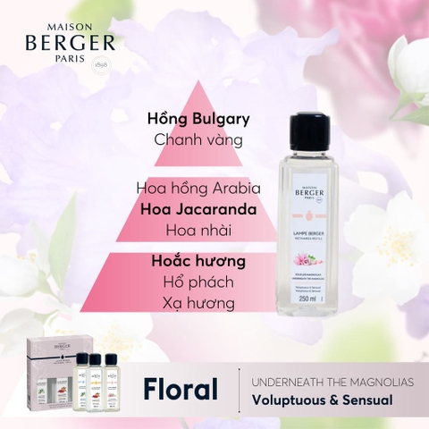 MAISON BERGER - Bộ tinh dầu cho đèn xông Triopack JOY - 3 hương (250ml)