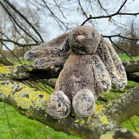 Jelly Cat - Bashful Bunny - Màu be