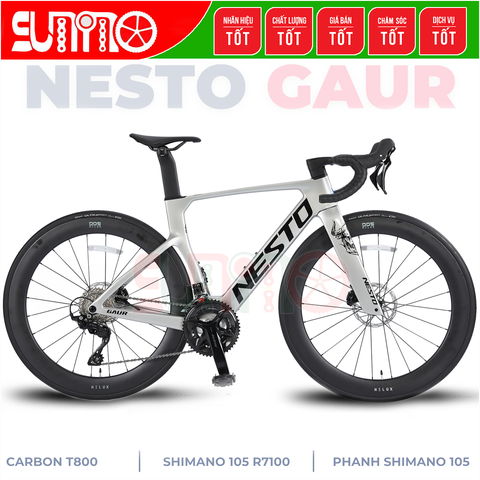Xe đạp đua carbon NESTO Gaur 2025