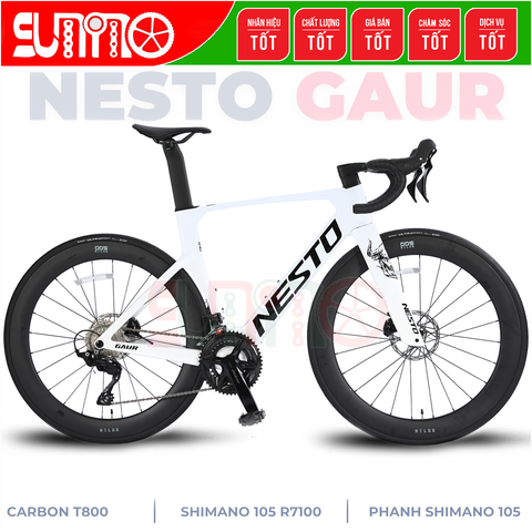 Xe đạp đua carbon NESTO Gaur 2025