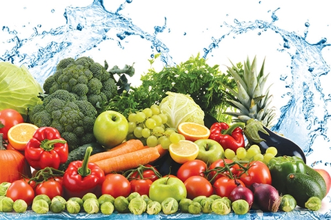 Quy trình nhập khẩu thực phẩm an toàn vệ sinh