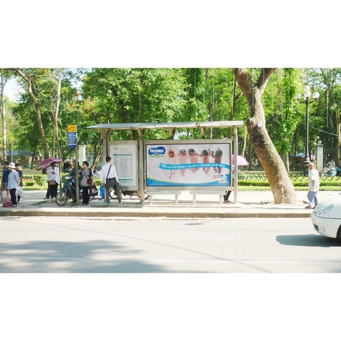 Trần Nhân Tông - CV Thống nhất