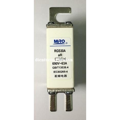 RGS30A 63A 690V