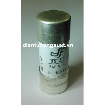 gG 80A 660V 22x58