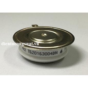 T620163004DN