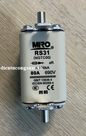 RS31(NGTC00) 80A 690V