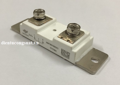 MMF300Y060DK1