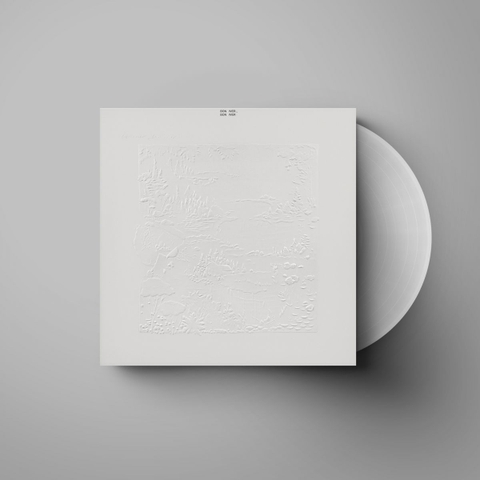 Bon Iver (10th Anniversary Vinyl Edition)