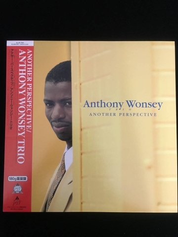 Anthony Wonsey - Another Perspective