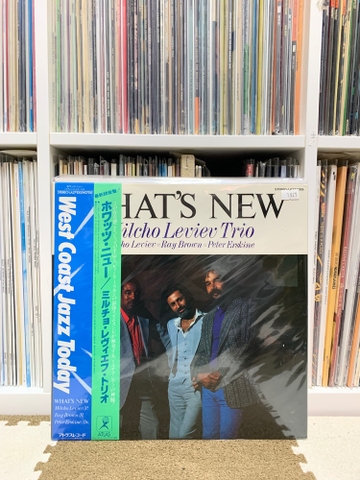 Milcho Leview - What's new