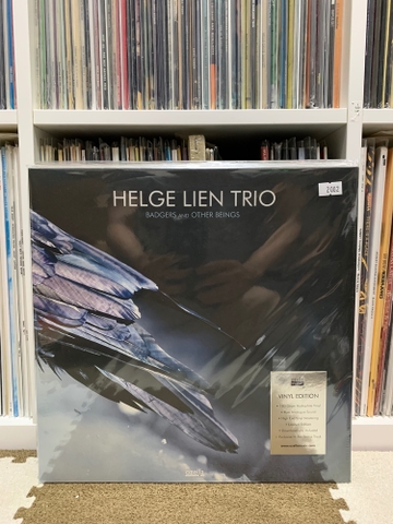Helge Lien Trio - Badgers and other beings