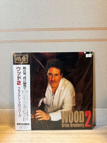 Brian Bromberg - Wood 2