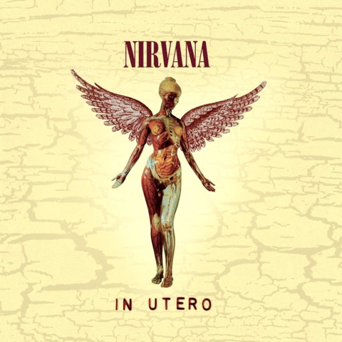 In Utero