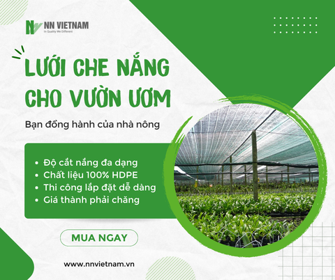 Người trồng lan nên sử dụng loại lưới lan nào tốt nhất?