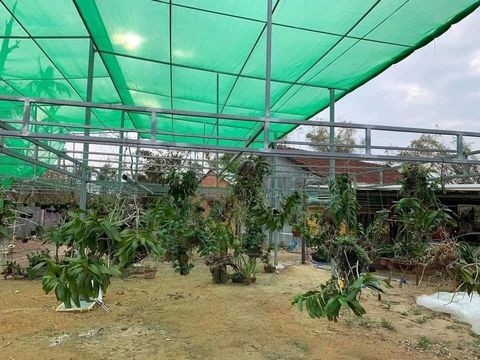 4 lý do bạn nên chọn mua lưới Đài Loan che lan