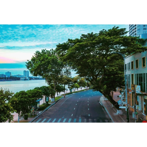 Chung tay vì thành phố xanh - sạch - đẹp