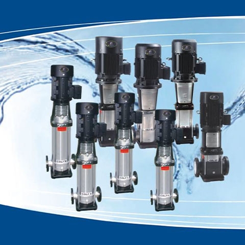 Catalogue Bơm Trục Đứng CNP