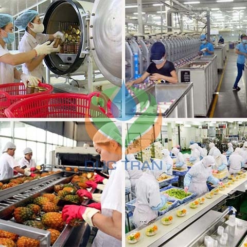 Ứng dụng Hệ Thống Lọc RO trong Công Nghiệp Chế Biến