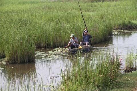 Quảng Nam: Người dân hiến đất mở rộng hệ sinh thái sông Đầm