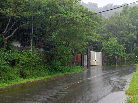 Thu hồi hơn 7.000 m2 đất ở rừng Sơn Trà