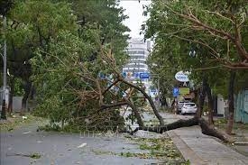 Khẩn trương khắc phục thiệt hại sau bão, đưa các hoạt động trở lại bình thường