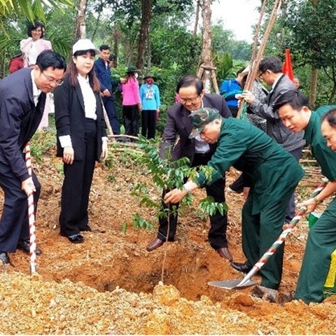 Tết trồng cây Xuân Quý Mão: Đà Nẵng khuyến khích 'xanh hóa' trụ sở