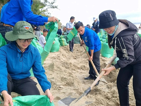Quảng Ngãi: Huy động hằng trăm nhân lực làm kè bảo vệ bờ biển Mỹ Khê