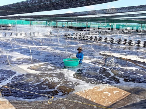 Giải pháp xử lý nước cấp cho nuôi trồng thủy sản