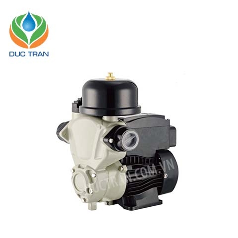 Bơm Rheken đầu gang tự động JLM60-200A