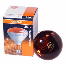 Bóng đèn hồng ngoại Osram Đức