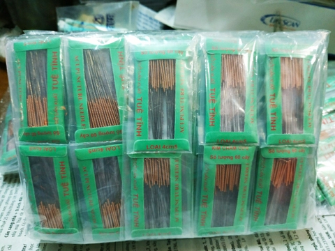 KIM CHÂM CỨU TUỆ TĨNH