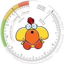 Vòng Tính Tuổi Thai Và Tính Ngày Dự Sinh