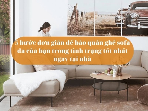 5 bước đơn giản để bảo quản ghế sofa da của bạn trong tình trạng tốt nhất