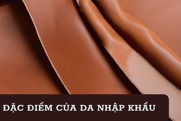 Da nhập khẩu là gì? Các loại da nhập khẩu phổ biến