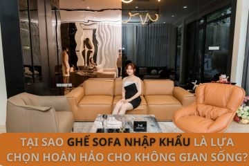 Tại sao ghế sofa nhập khẩu là lựa chọn hoàn hảo cho không gian sống?