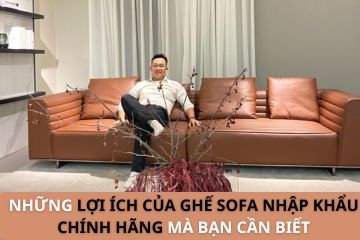 Những Lợi Ích Của Ghế Sofa Nhập Khẩu Chính Hãng Mà Bạn Cần Biết