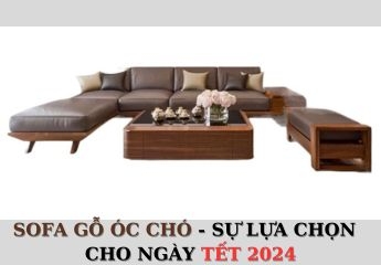 Trang trí không gian phòng khách cho ngày tết 2024 với bộ sofa gỗ óc chó