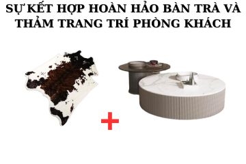 Sự kết hợp của bàn trà và thảm trang trí giúp tăng thêm độ thẩm mỹ cho phòng khách