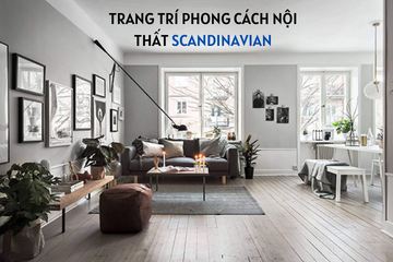 Thiết kế ghế sofa văng trong phong cách trang trí Scandinavia
