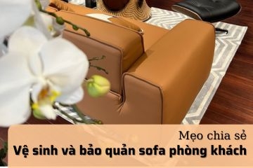 Cách vệ sinh và bảo quản sofa phòng khách để kéo dài tuổi thọ