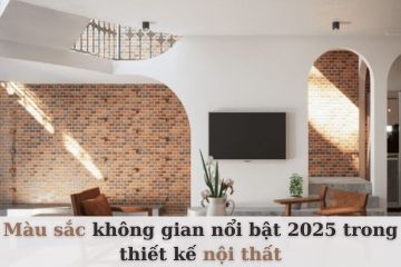 Xu hướng màu sắc làm màu chủ đạo 2025
