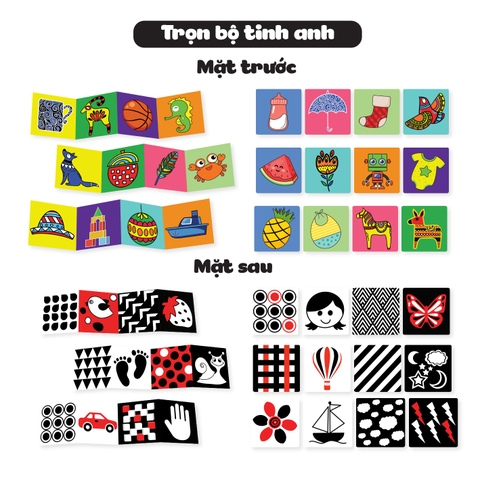 Combo 3 set Trọn Bộ Tinh Anh - Thẻ Gấp Ziczac Và Flashcard - Lalala Baby